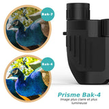Jumelles Ultra Puissantes - Grossissement 10X