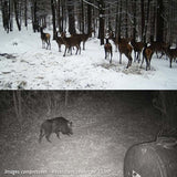 camera chasse gsm 4g nocturne