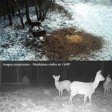 caméra de chasse 4g vision nocturne