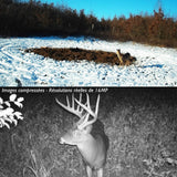 camera de chasse gsm sms