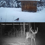 camera de chasse professionnelle nocturne infrarouge