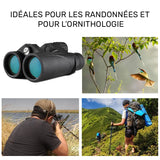 jumelles ornithologie 8x42 oiseaux
