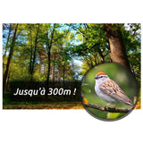Longue vue pour observer les oiseaux 12-36X50