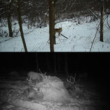 mini camera de chasse animaux