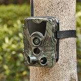 piège photographique GSM animaux