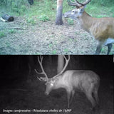 Piège Photographique <br> TR-30K LEDs noires