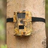 piège photographique pas cher animaux