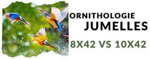 Ornithologie : jumelles 8X42 ou 10X42 ?